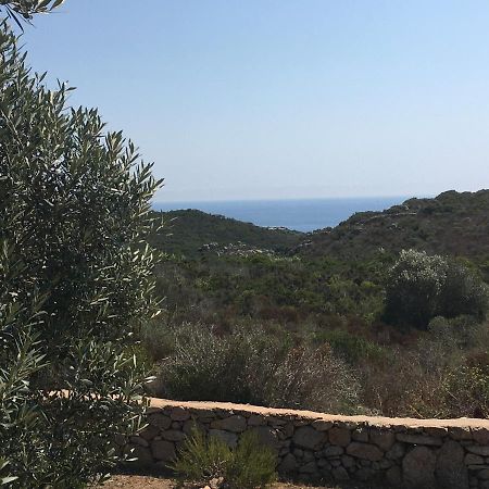 Brise Marine Ξενοδοχείο Bonifacio  Εξωτερικό φωτογραφία